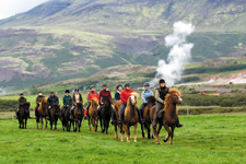 Iceland-East and South-Eastern Symphony - Horses and Puffins